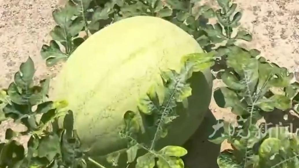 游戏专题 第2页